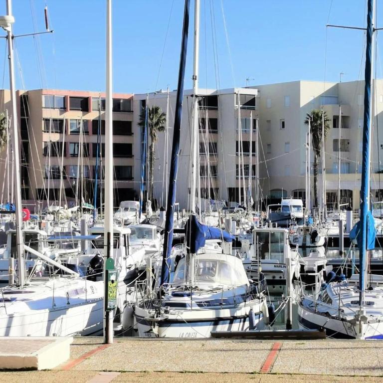 Résidence Terrasses De La Mediterranee 1 - 2 Pièces 4 couchages PORT LEUCATE MAE-7064 - Apartamento - 1