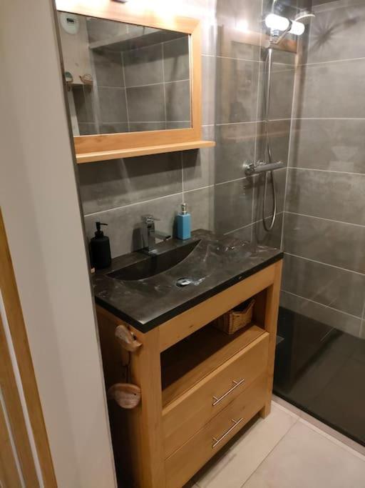 -Studio Aix les bains face au lac- - Apartment mit 1 Schlafzimmer - 10