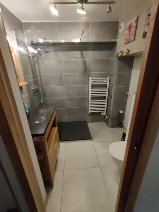 -Studio Aix les bains face au lac- - Apartment mit 1 Schlafzimmer - 9