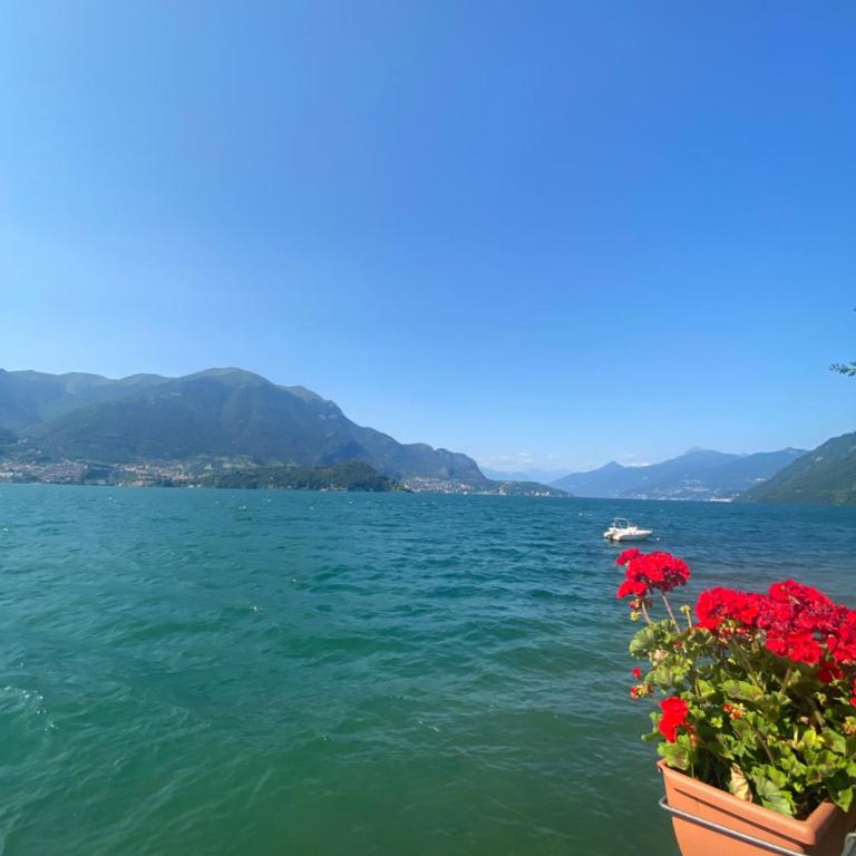 Peonia Apartment - appartamento vista lago - One-Bedroom Apartment - 44