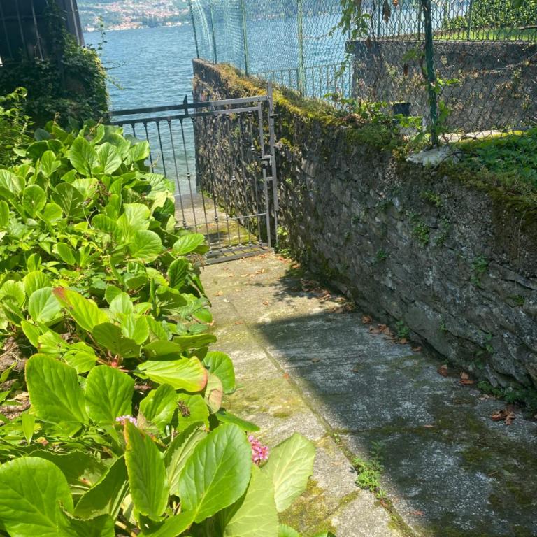 Peonia Apartment - appartamento vista lago - One-Bedroom Apartment - 46