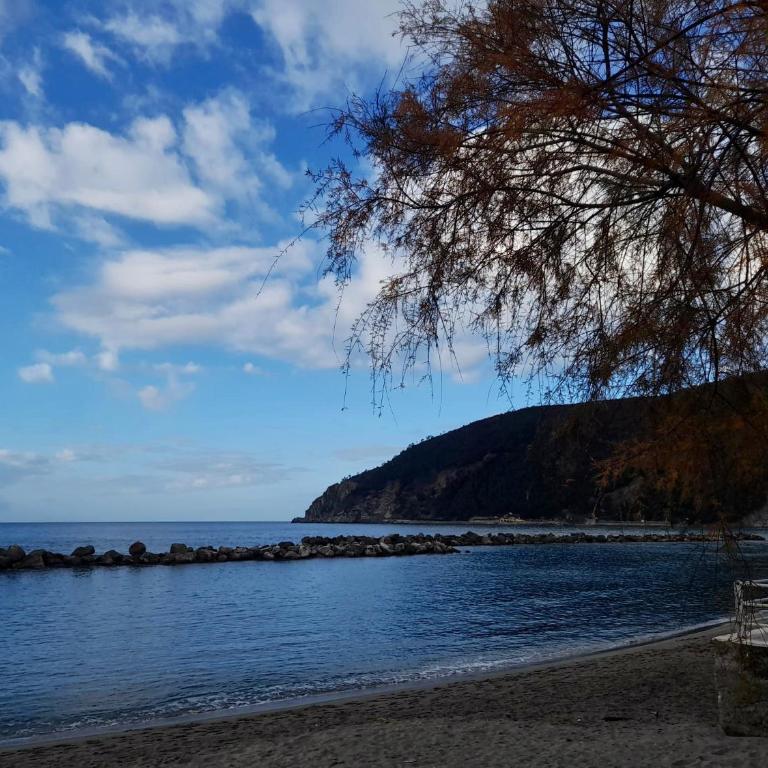 Olivetta House Holiday - Appartamento con 1 Camera da Letto - 20