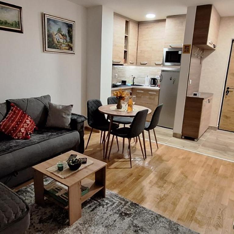 Divčinova B10 Tomić - Apartman sa 1 Spavaćom Sobom - 13