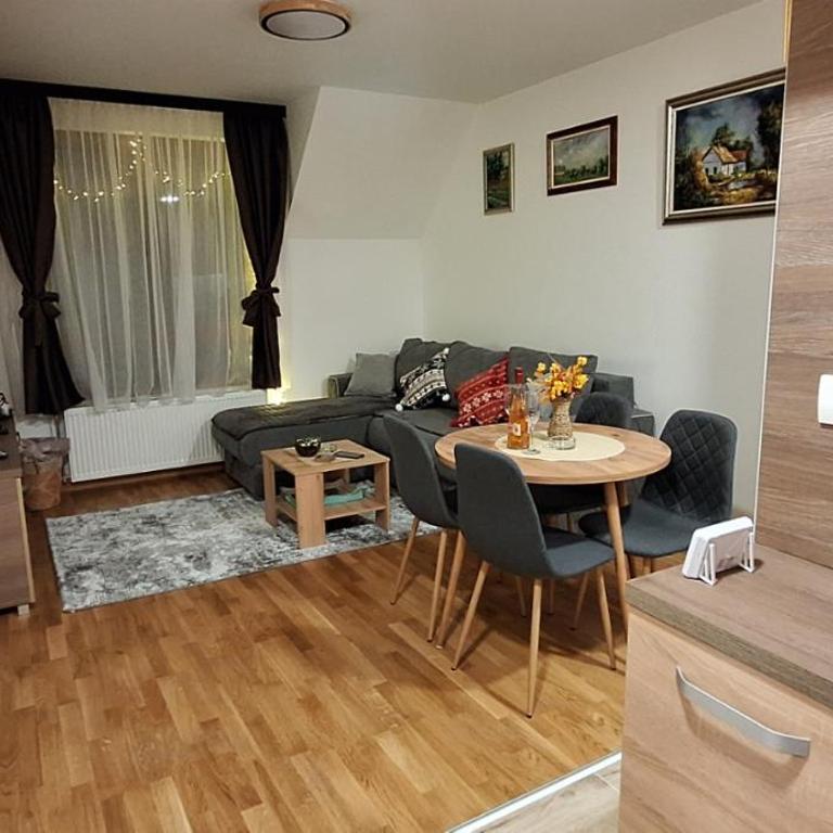 Divčinova B10 Tomić - Apartman sa 1 Spavaćom Sobom - 46