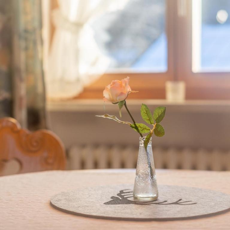 Gästehaus Hagen - Apartment mit Dusche - 4