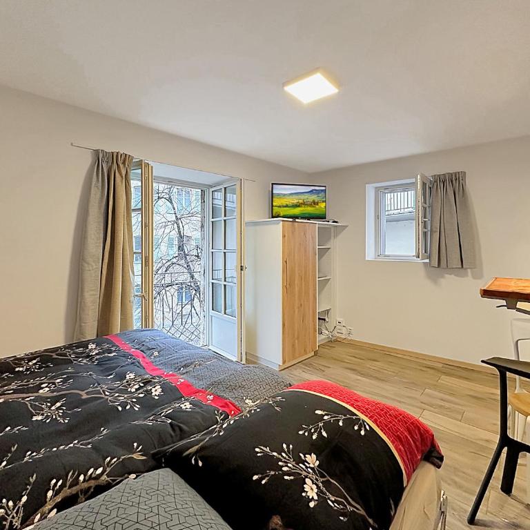 Studio 505 - Sion Old City - Swiss Alps - Studio - 6