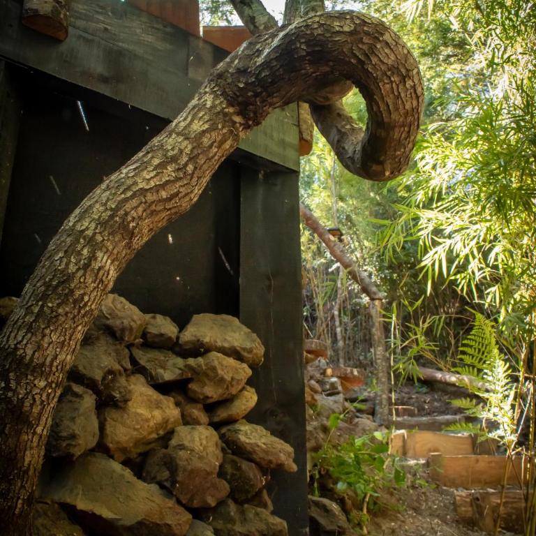 Refugios de bosque en Coñaripe - Chalet de 1 dormitorio - 23