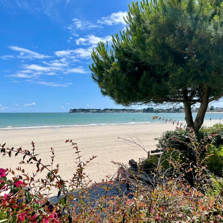 Vue mer La Baule : L'escale Bauloise - Appartamento con 2 Camere da Letto - 28