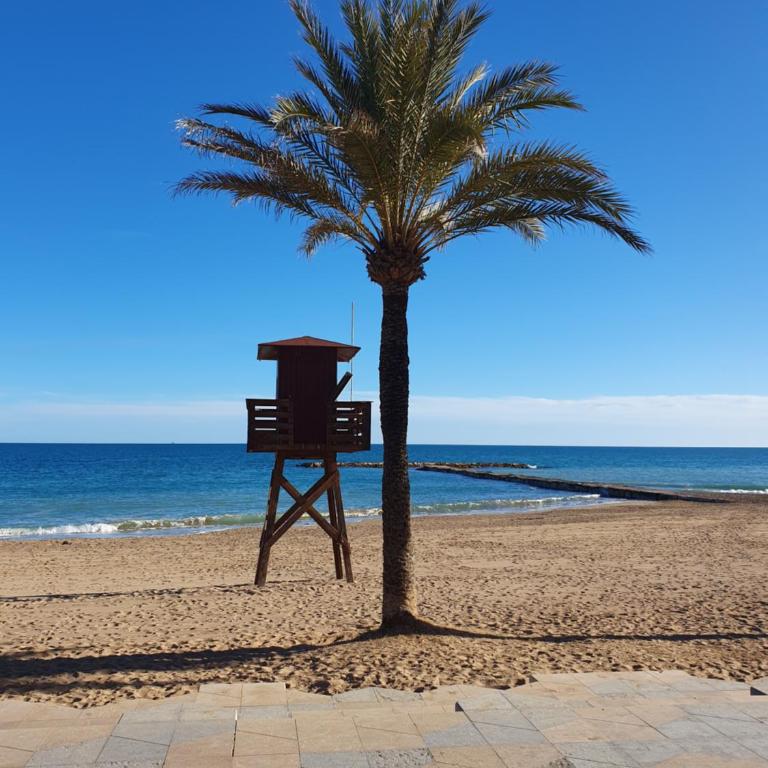 Apartamento Bonita Vista - Two-Bedroom Apartment - 26