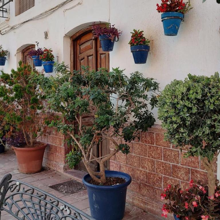 Frontline Beach Apartment, La Perla de la Bahia, Bahia de Casares - Estepona - Apartamento de 3 dormitorios - 52