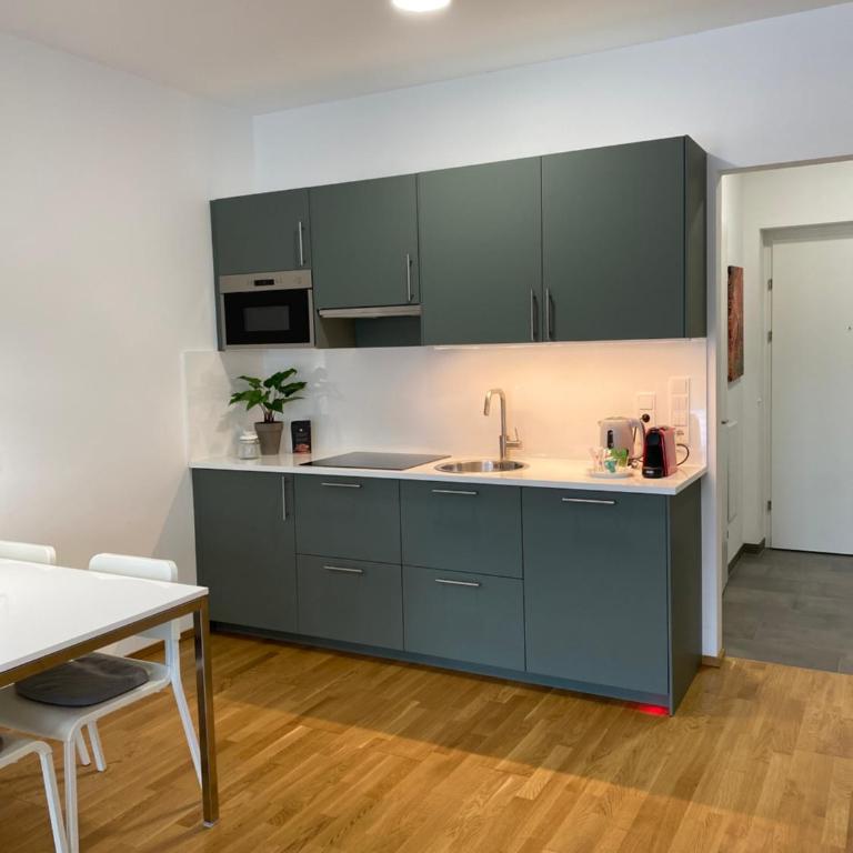 Ebelsberger Terrassen - Apartamento de 1 dormitorio - 20