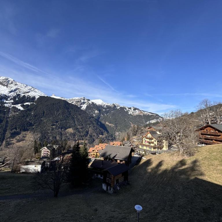 Chalet Roossi 4 - Apartment mit 3 Schlafzimmern - 13