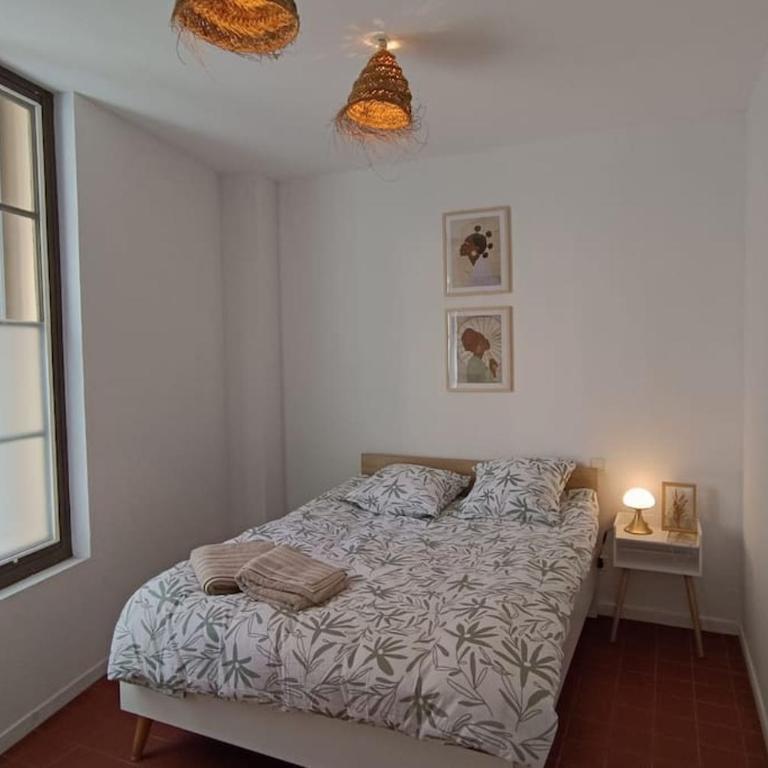 hypercentre, appartement coquet en rez-de-chaussée - Appartamento con 1 Camera da Letto - 5