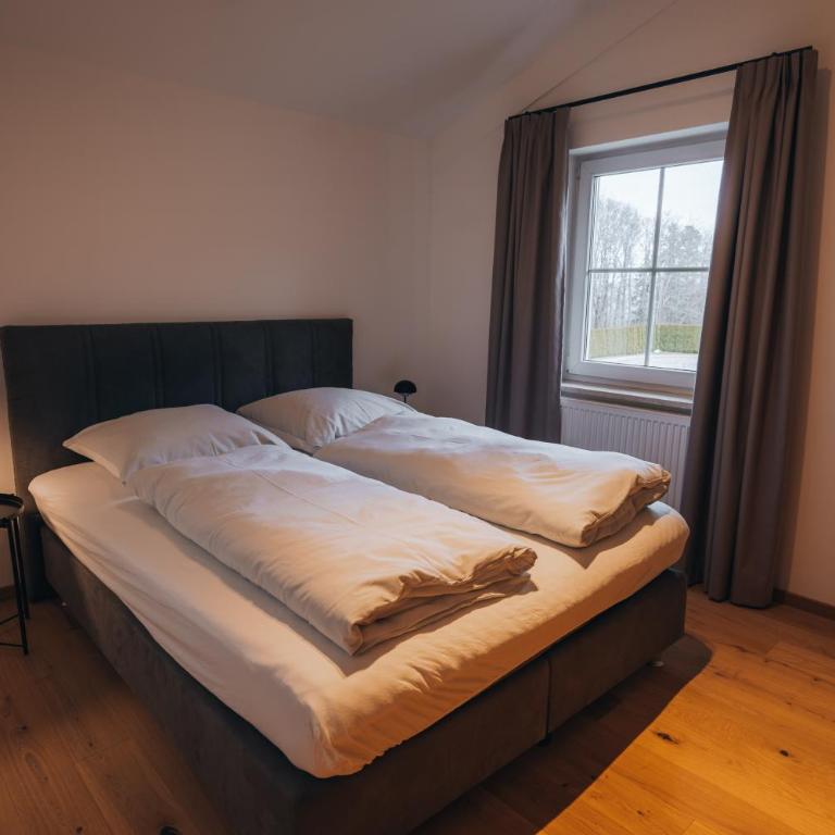 Gut Buchenhof - Apartment mit Blick auf die Berge - 7