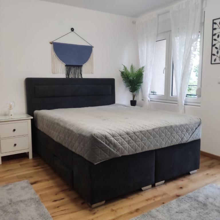 GALEB - Deluks Studio - 5