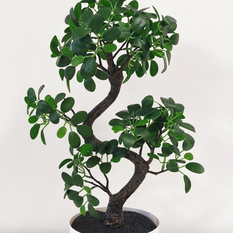 GALEB - Deluks Studio - 26