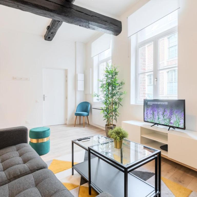 Character apartment in the heart of Old Lille - Apartment - 5