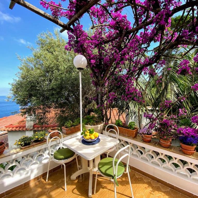 Maison Il Vervece - Sorrento - Villa con 3 Camere da Letto - 8