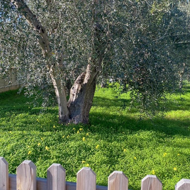 5 Bedroom Amazing Home In Vieste - Casa Vacanza con 5 Camere da Letto - 6