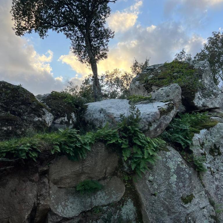 Umbria di Porto Vecchio - Piscine - Casa con 2 Camere da Letto - 22