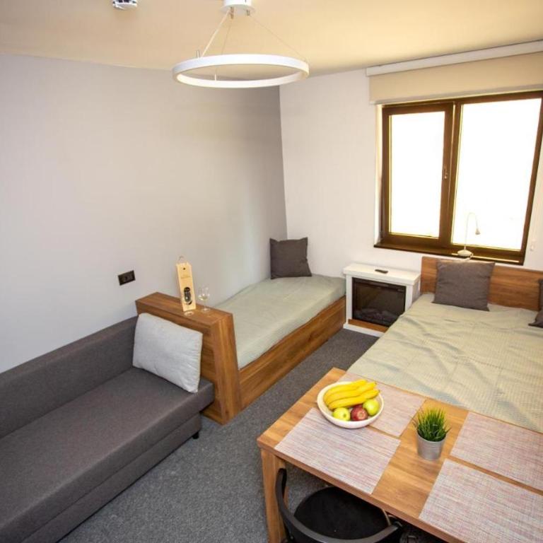 White River Brzece - Kopaonik 50m from Gondola - Free parking - Studio Apartman - 6