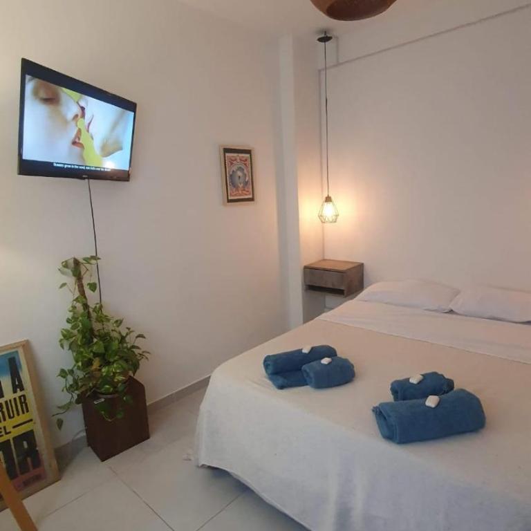 Celeste's Apartment - Apartamento de 1 dormitorio - 14