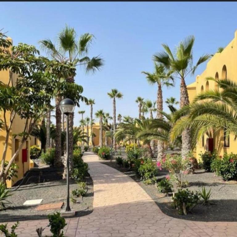 Casa Damar - Apartamento de 1 dormitorio - 25