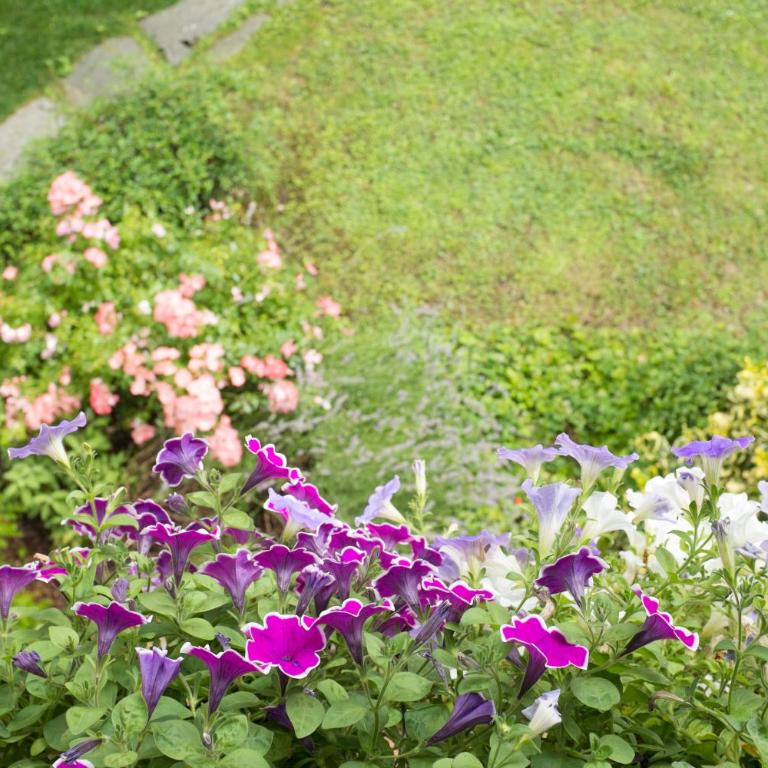 Casa Sunset Hill Bologna - Three-Bedroom Villa - 70