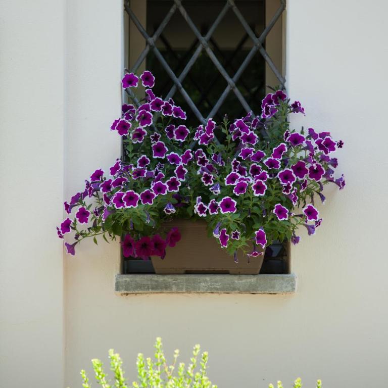 Casa Sunset Hill Bologna - Three-Bedroom Villa - 69