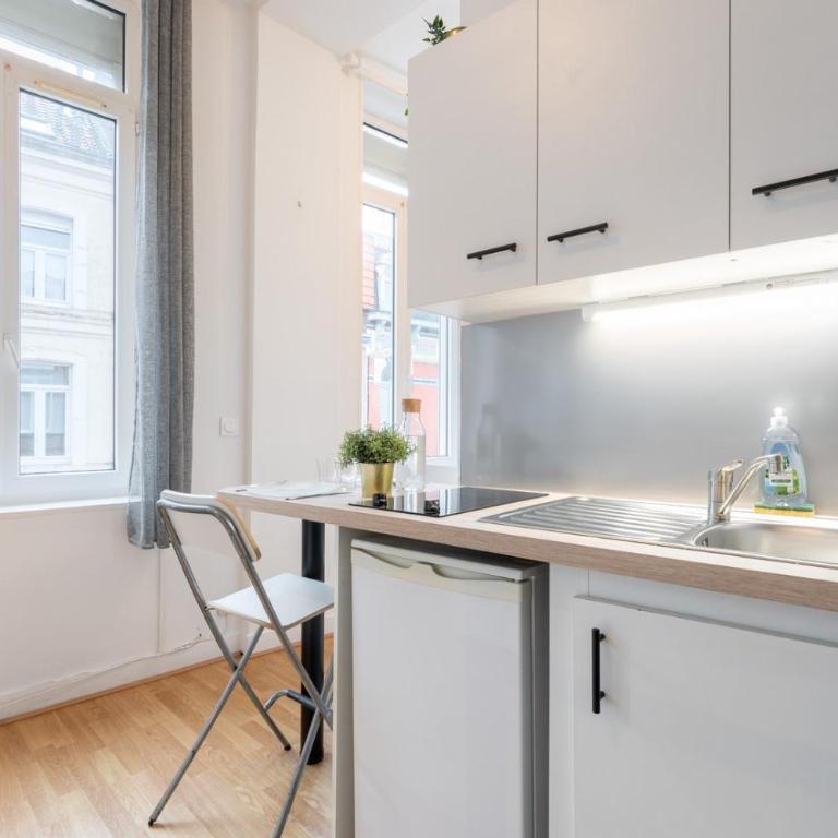 Lille Saint Maurice - Nice and functional studio - Apartment - 4
