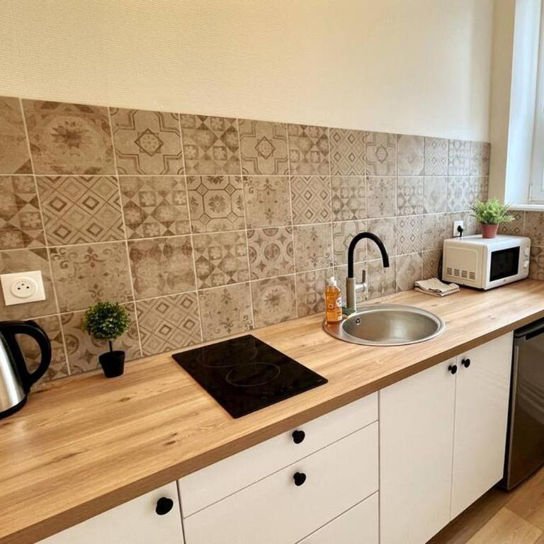 3G Clim + Thermal et campus ARTEM à 200m, 2 pièces - Appartement 1 Chambre - 4