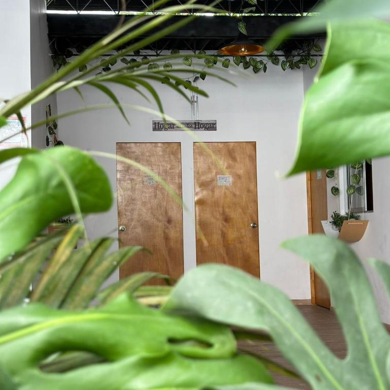 Casa Egos Pop Laureles - Habitación Doble con baño privado - 16