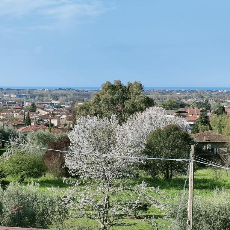 Casa Bianca - Casa con 2 Camere da Letto - 16