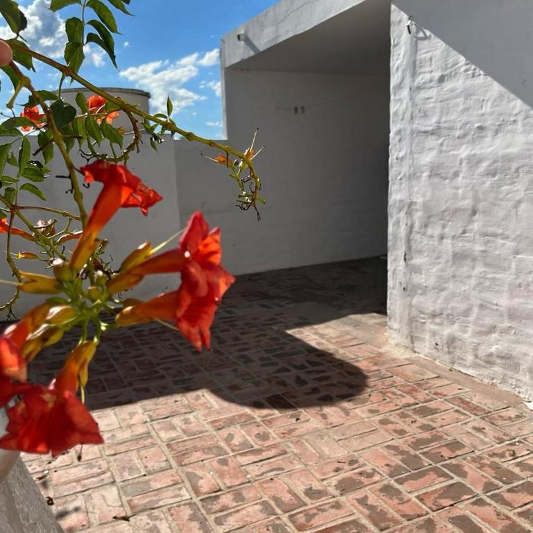Departamento Balneario (Centro) - Apartamento de 1 dormitorio - 14