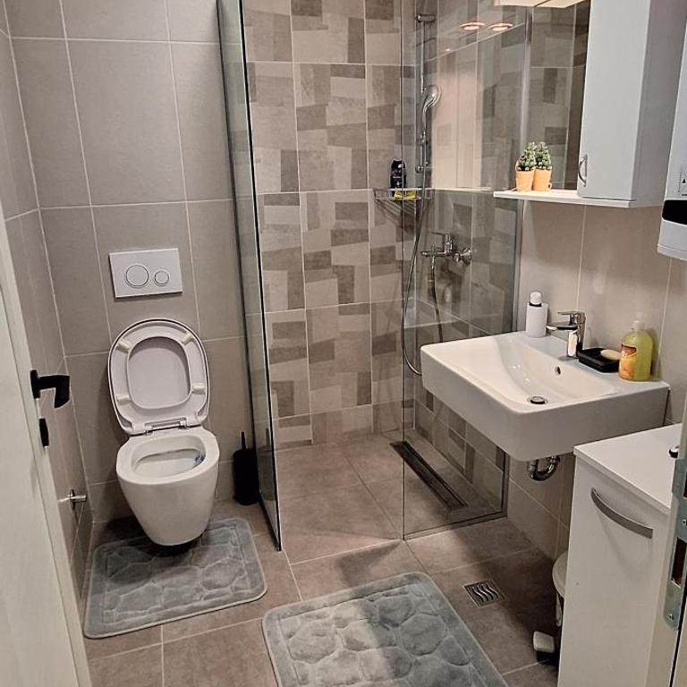 Divčinova B10 Tomić - Apartman sa 1 Spavaćom Sobom - 7