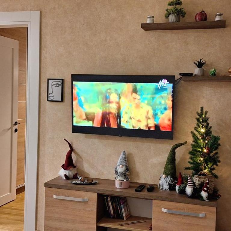 Divčinova B10 Tomić - Apartman sa 1 Spavaćom Sobom - 6
