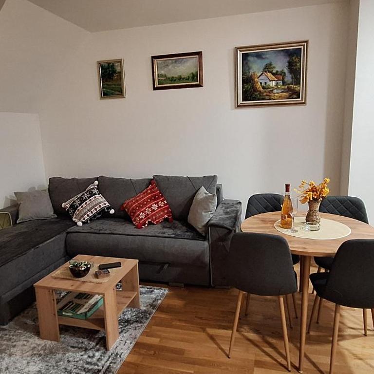Divčinova B10 Tomić - Apartman sa 1 Spavaćom Sobom - 4
