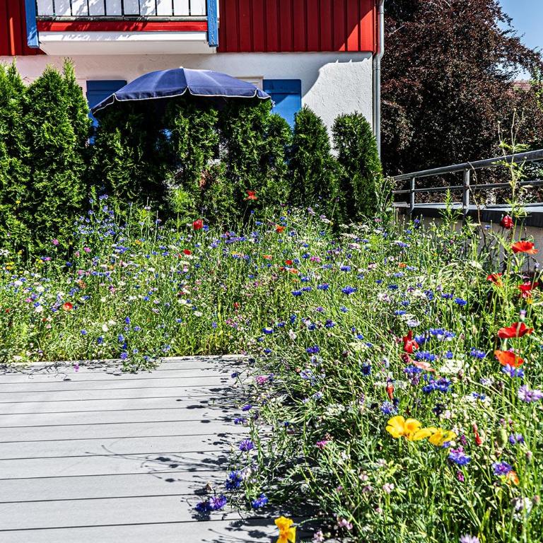 Allgäu-Idyll - Apartment mit Terrasse - 6