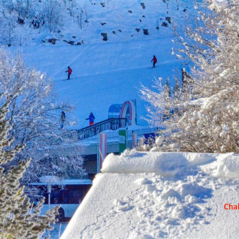 Chalet Schmitten - by Alpen Apartments - Ferienhaus - 35