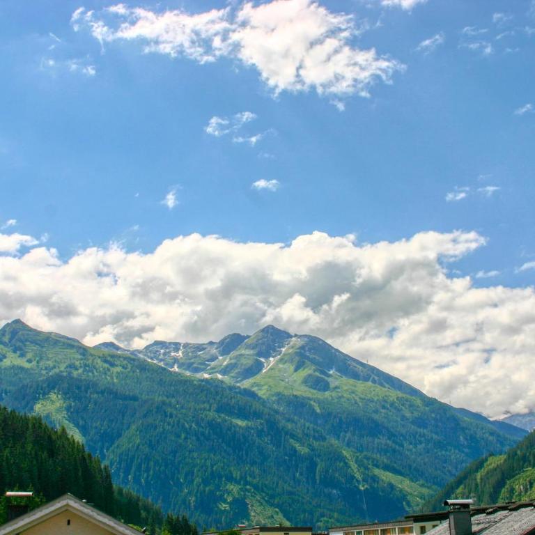 Apartment Birke 1 - by Alpen Apartments - Penthouse-Apartment - 3