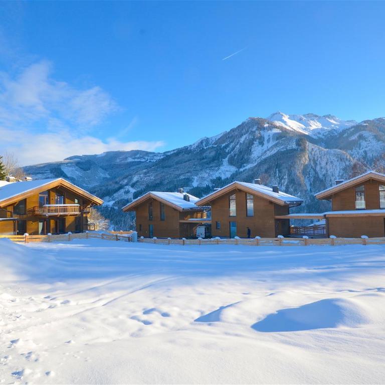 Ski-in Ski-out Chalet Maiskogel 13A - by Alpen Apartments - Ferienhaus - 23
