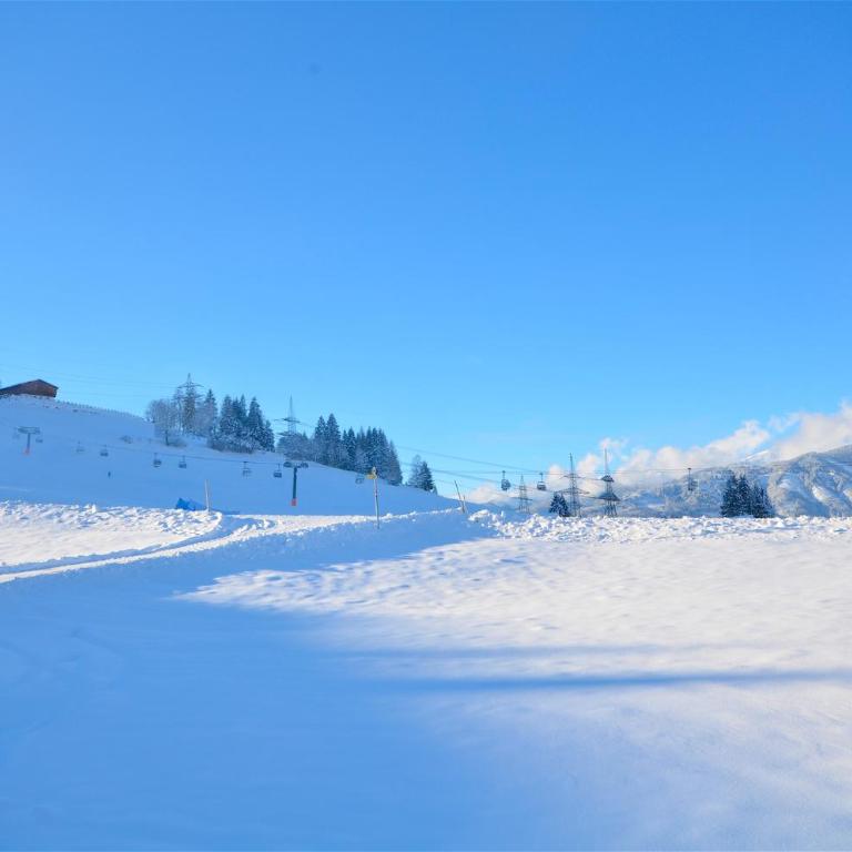 Ski-in Ski-out Chalet Maiskogel 13A - by Alpen Apartments - Ferienhaus - 24