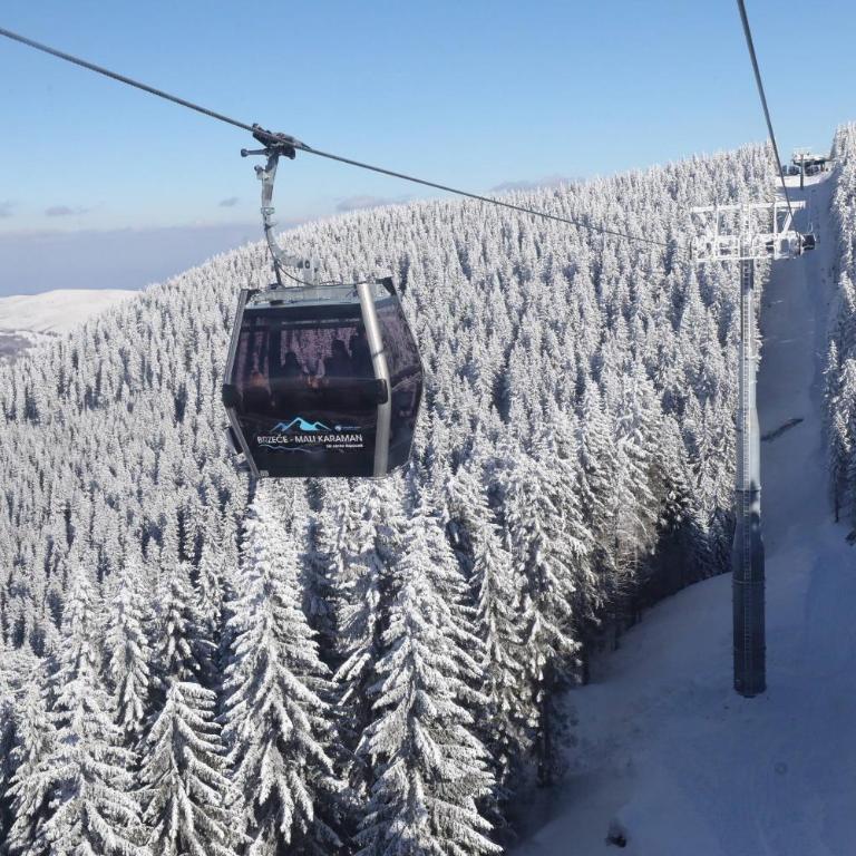 White River Brzece - Kopaonik 50m from Gondola - Free parking - Studio Apartman - 9