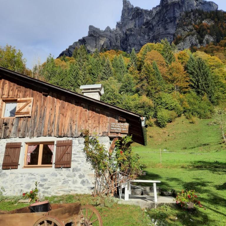 Chalet la corne du chamois - Chalet 2 Chambres - 5
