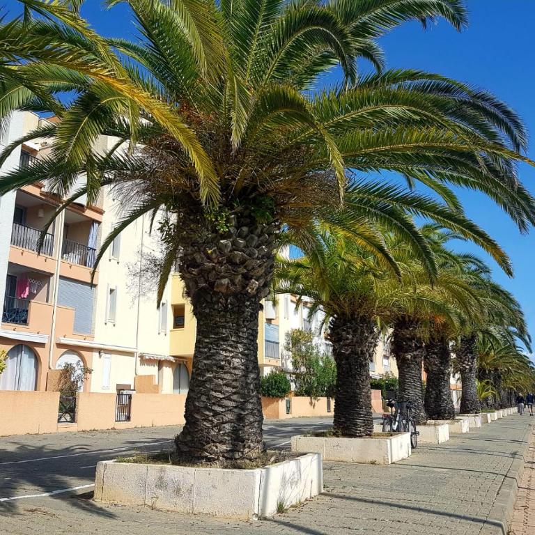 T2 sur le port avec parking - Appartement 1 Chambre - 1