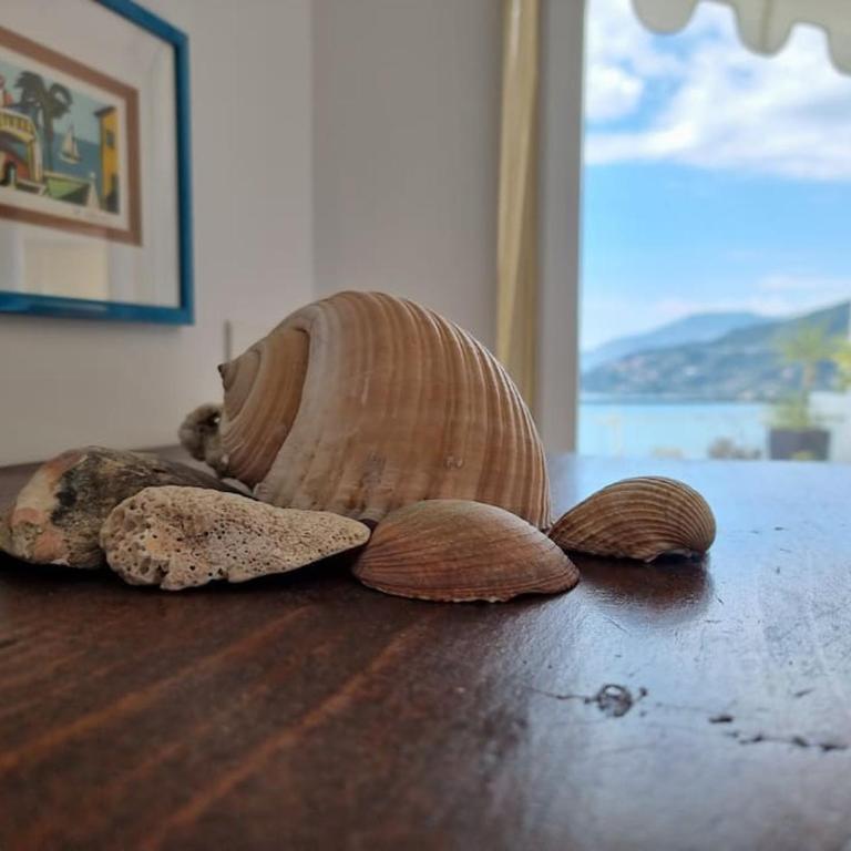 Beachfront Paradise - Panoramic Terrace, Monaco view & Private Access to Calandre Beach - French Riviera Liguria - Appartamento con 2 Camere da Letto - 36