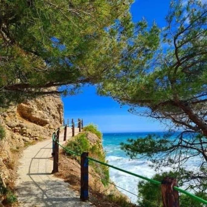 Beachfront Paradise - Panoramic Terrace, Monaco view & Private Access to Calandre Beach - French Riviera Liguria - Appartamento con 2 Camere da Letto - 41