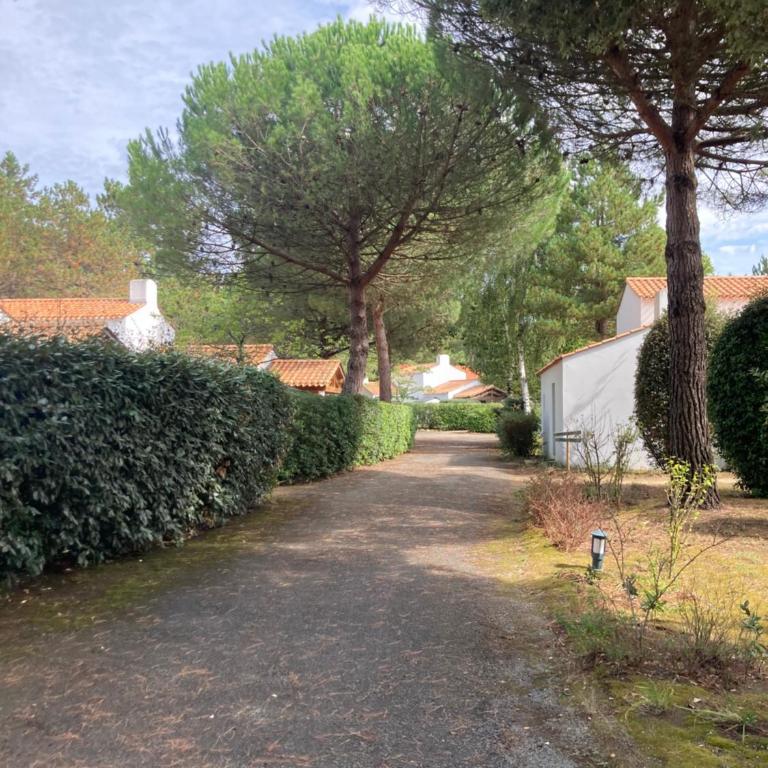 Maisonnette au calme prôche forêt et bord de mer - Maison 1 Chambre - 4