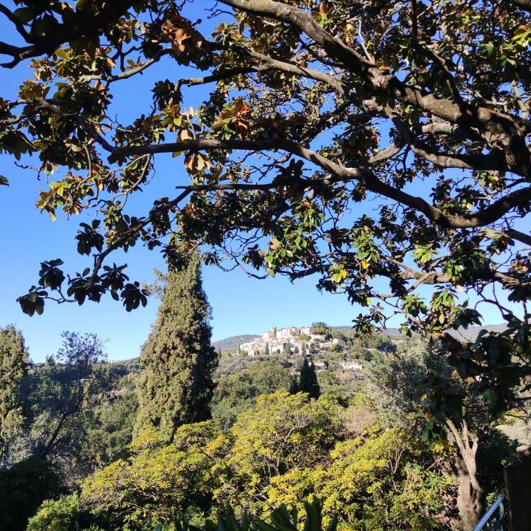 Apartment Fragonard with heated pool and large private terrace - Appartement 2 Chambres - 9