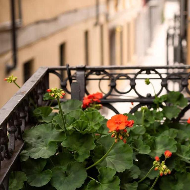 Russomanno Apartments - One-Bedroom Apartment - 14